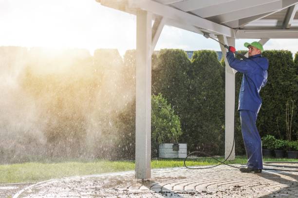 Trusted Orangetree, FL Pressure Washing Services Experts